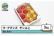 ラ・フランス&サンふじ 詰合せ 約3kg 2025年産 令和7年産 果物 フルーツ 山形県 ry-fsrlx3000