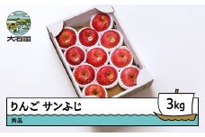 りんご サンふじ 約3kg 2025年産 令和7年産 果物 フルーツ 山形県 ry-risfx3000