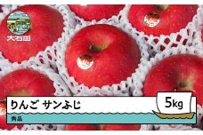 りんご サンふじ 約5kg 2025年産 令和7年産 果物 フルーツ 山形県 ry-risfx5000