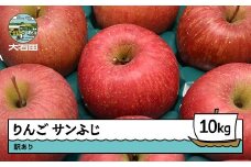 りんご サンふじ 訳あり 約10kg 2025年産 令和7年産 果物 フルーツ 山形県 ry-risfw10000