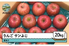 りんご サンふじ 訳あり 約20kg 2025年産 令和7年産 果物 フルーツ 山形県 ry-risfw20000