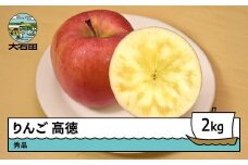 りんご 高徳 こうとく 約2kg 2025年産 令和7年産 果物 フルーツ 山形県 ry-riktx2000