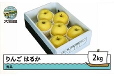 りんご はるか 約2kg 2025年産 令和7年産 果物 フルーツ 山形県 ry-rihax2000