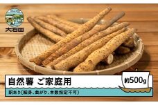 雪国育ちの自然薯 ご家庭用 スティック 500g 野菜 やまいも じねんじょ 山形県 大石田町産 oz-ziwxx500