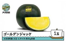 すいか 大玉 ゴールデンジャック 4Lサイズ×1玉 2026年産 令和8年産 山形県産 大石田町産 8月上旬から順次発送 mn-sugjx4