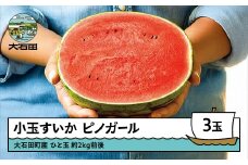 先行予約 すいか 小玉 ピノガール 約2kg前後×3玉 2026年産 令和8年産 山形県産 大石田町産 7月中旬から順次発送 mn-sukxx3