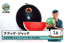 すいか 大玉 ブラックジャック 2〜3Lサイズ×1玉 2026年産 令和8年産 山形県産 大石田町産 8月上旬から順次発送 gt-subjx2