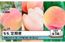 【先行予約】もも 桃 3回 定期便 品種おまかせ 川中島 2026年産 令和8年産 果物 フルーツ 山形県産 ja-tkmox