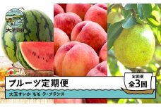 【先行予約】フルーツ定期便 全3回 大玉すいか もも 桃 ラ・フランス 洋梨  2026年産 令和8年産  ja-ftsml3-b