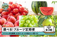 【先行予約】選べるフルーツ定期便 全3回 さくらんぼ 佐藤錦 大玉すいか シャインマスカット 2026年産 令和8年産  ja-ft3cx-b-bu