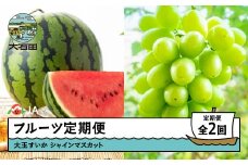 【先行予約】フルーツ定期便 全2回 大玉すいか シャインマスカット 2026年産 令和8年産  ja-ft2ss-b