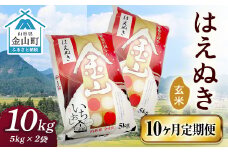 令和6年産《定期便》 金山産米 はえぬき【玄米】（5kg×2袋）×10ヶ月計100kg 定期便 10ヶ月 米 お米 ご飯 玄米 ブランド米 送料無料 東北 山形 金山町 F4B-0530