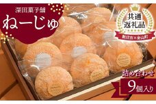 【金山町×新庄市 共通返礼品】深田菓子舗 ねーじゅ詰め合わせ 9個入 F4B-0425