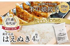 【金山町×新庄市 共通返礼品】米の娘餃子とR5はえぬき4kg	F4B-0435