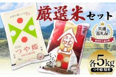 【金山町×新庄市 共通返礼品】 厳選米セット つや姫 精米 計10kg （各5kg×2袋） F4B-0569
