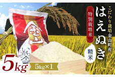 【先行予約 令和7年産】 金山町産 特別栽培米 はえぬき 精米 5kg 米 お米 ご飯 ブランド米 F4B-0604