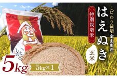 【先行予約 令和7年産】 金山町産 特別栽培米 はえぬき 玄米 5kg 米 お米 ご飯 ブランド米 F4B-0607