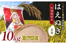 【先行予約 令和7年産】 金山町産 特別栽培米 はえぬき 玄米 5kg×2(10kg) 米 お米 ご飯 ブランド米 F4B-0608