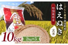 【先行予約 令和7年産】 金山町産 特別栽培米 はえぬき 玄米 2kg×5(10kg) 米 お米 ご飯 ブランド米 F4B-0609