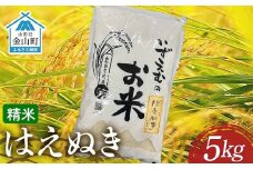 先行予約 令和7年産 金山町産はえぬき 精米 5kg 米 お米 白米 ご飯 精米 ブランド米 送料無料 東北 山形 金山町 F4B-0613
