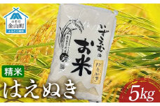 先行予約 令和7年産 金山町産はえぬき 精米 5kg 米 お米 白米 ご飯 精米 ブランド米 送料無料 東北 山形 金山町 F4B-0613