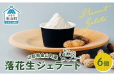 金山町産落花生ジェラート 6個入り ジェラート ビーナッツ デザート スイーツ 菓子 食品 F4B-0619