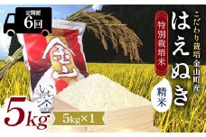 【令和7年産】定期6回 金山町産 特別栽培米 はえぬき 精米 5kg 米 お米 ご飯 ブランド米 定期便 F4B-0623