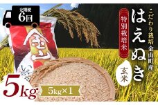 【令和7年産】定期6回 金山町産 特別栽培米 はえぬき 玄米 5kg 米 お米 ご飯 ブランド米 定期便 F4B-0624