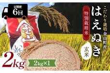【令和7年産】定期6回 金山町産 特別栽培米 はえぬき 玄米 2kg 米 お米 ご飯 ブランド米 定期便 F4B-0626