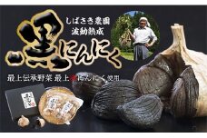 SB波動熟成黒にんにくAセット