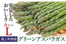 JA【令和7年産】最上町特産グリーンアスパラ2kg 