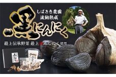 SB波動熟成黒にんにくBセット