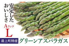 JA【令和7年産】最上町特産グリーンアスパラ1kg 