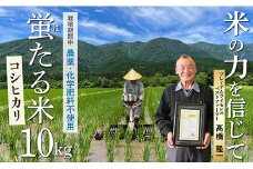 【令和7年産予約】特別栽培米　蛍たる米コシヒカリ10㎏　