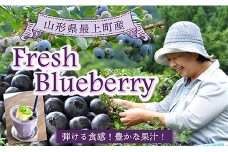 【冷凍】最上町産ブルーベリー1kg ※発送は9月～3月になります。