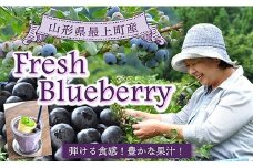 【冷凍】最上町産ブルーベリー1kg ※発送は9月～3月になります。