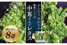 BU野菜ソムリエ中嶌さんのレタスセット