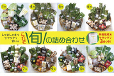 旬の詰め合わせセット
