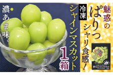 ONM　瞬間冷凍シャインマスカット1箱