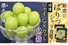 ONM　瞬間冷凍シャインマスカット2箱