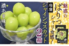 ONM　瞬間冷凍シャインマスカット2箱