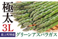 JA【令和7年産予約】最上町特産グリーンアスパラ３Lサイズ１kg 