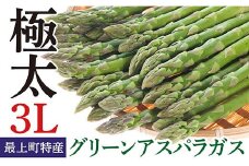 JA【令和7年産予約】最上町特産グリーンアスパラ３Lサイズ１kg 