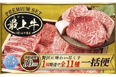  【冷凍】【1回配送で全11種】特選最上牛を一括でお届け