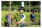 大人から子供までみんなで酒米の稲刈りをしました