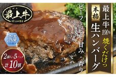  【冷凍】最上牛「生」ハンバーグ
