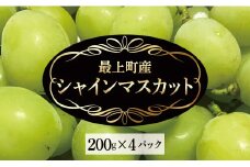 【予約返礼品】最上町産【シャインマスカット】200g×4P