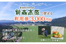 MG前森高原 利用券 3000円分