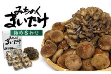 MH31202　最上町産みちのくまいたけと椎茸セット