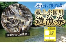 【最上町×舟形町共通返礼品】最上小国川　遊漁券（年券）【令和7年4月1日～令和8年3月31日】鮎釣り 全魚種